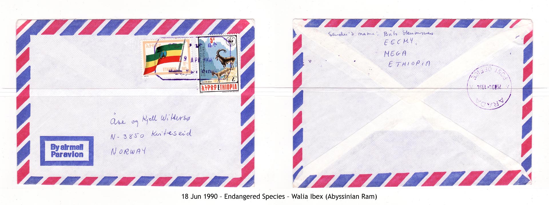 19900618 – Endangered Species – Walia Ibex (Abyssinian Ram)