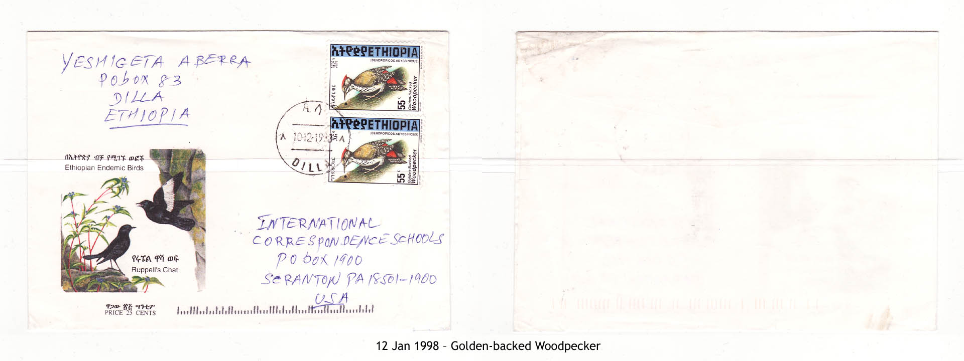 19980112 – Golden-backed Woodpecker