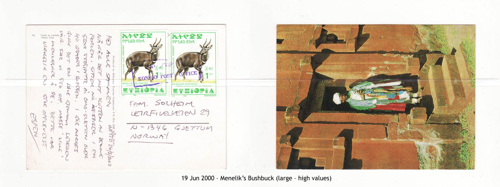 20000619 – Menelik’s Bushbuck (large – high values)