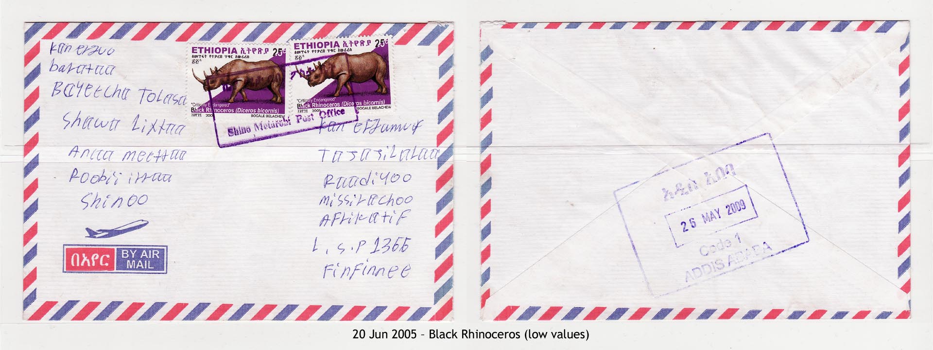 20050620 – Black Rhinoceros (low values)