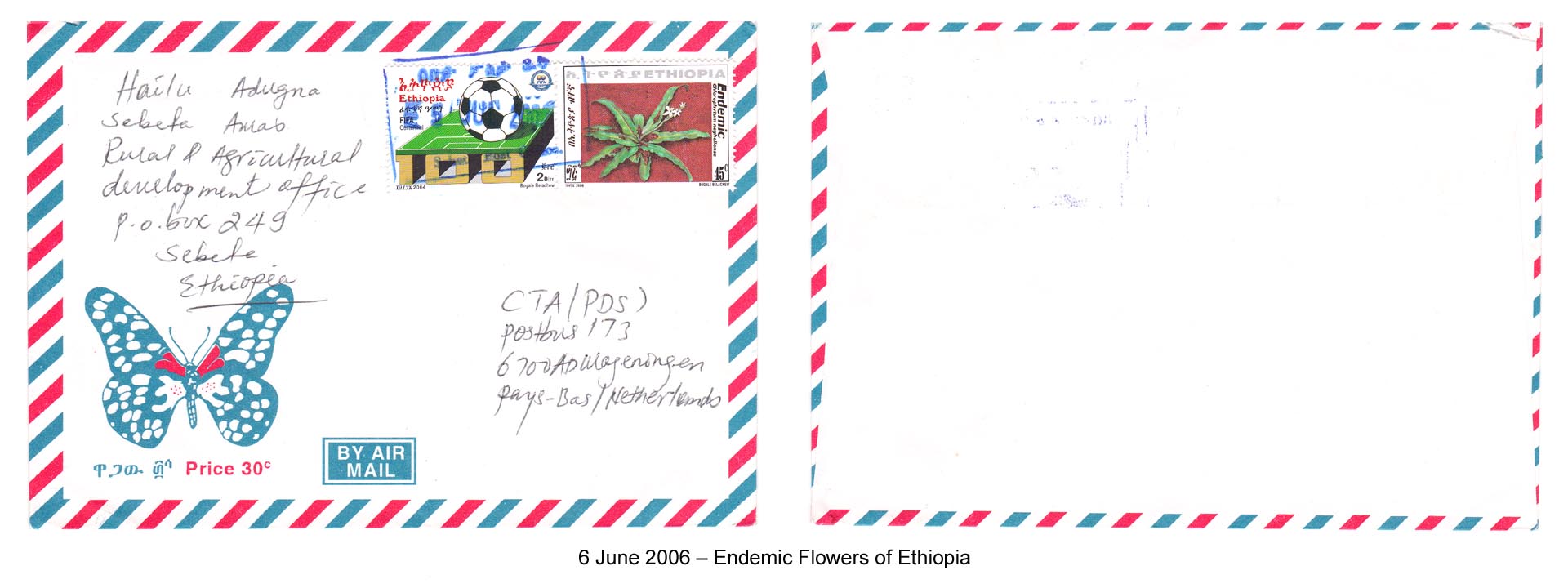 20060606 – Endemic Flowers of Ethiopia